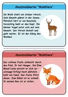 Vorschau - Unterrichtsreihen - Abschreibkartei Thema Tiere im Wald - DaZ/DaF, Deutsch (schreiben) - Seite 1