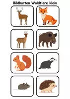Vorschau - Spiele - Kleine Bildkarten Tiere im Wald - DaZ/DaF, Deutsch (Grundschule) Vokabelkarten - Seite 2