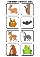Vorschau - Spiele - Kleine Bildkarten Tiere im Wald - DaZ/DaF, Deutsch (Grundschule) Vokabelkarten - Seite 3