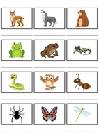 Vorschau - Mal- und Bastelvorlagen - Wörterliste Thema Waldtiere - DaZ/DaF, Deutsch (Grundschule) Kartenspiel - Seite 3