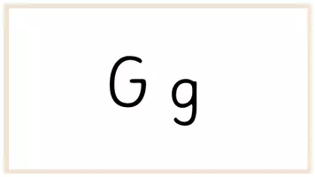 Vorschau - Präsentationen/Tafelbilder - Buchstabeneinführung- Digitales Tafelbild (G,Z,J,V,ß,C,Y,X) (Grundschrift) - Seite 2