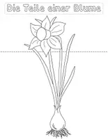 Vorschau - Unterrichtsreihen - Flipbook: Teile einer Blume beschriften - Seite 1