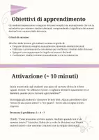 anteprima - Piani di lezione - Eseguire la divisione manuale o con calcolatrice per ottenere il valore decimale - Pagina 1