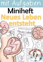 Vorschau - Arbeitsblätter - Sexualerziehung - Befruchtung / Schwangerschaft / Baby - neues Leben entsteht - Deckblatt