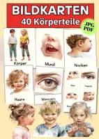 Vorschau - Bildkarten - Bildkarten Körperteile – 40 klare Illustrationen mit Wortkarten für Kita, Grundschule & DaZ/DaFn - Deckblatt