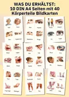 Vorschau - Bildkarten - Bildkarten Körperteile – 40 klare Illustrationen mit Wortkarten für Kita, Grundschule & DaZ/DaFn - Seite 1