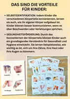 Vorschau - Bildkarten - Bildkarten Körperteile – 40 klare Illustrationen mit Wortkarten für Kita, Grundschule & DaZ/DaFn - Seite 2