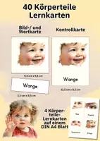 Vorschau - Bildkarten - Bildkarten Körperteile – 40 klare Illustrationen mit Wortkarten für Kita, Grundschule & DaZ/DaFn - Seite 3