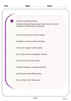 Vorschau - Arbeitsblätter - Deutsch DAZ/DAF Grammatik Modalverben - Seite 2