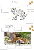 Vorschau - Arbeitsblätter - Lerntheke: Der Tiger (Wildtiere) - Seite 3