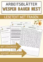 Vorschau - Arbeitsblätter - Religion Materialpaket Lesetexte mit Richtig Falsch Multiple Choice und Offenen Fragen - Seite 1