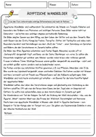 Vorschau - Arbeitsblätter - Ägyptische Wandbilder Arbeitsblätter mit Fragen + Lösungen AB - Seite 1