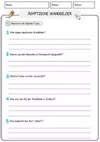 Vorschau - Arbeitsblätter - Ägyptische Wandbilder Arbeitsblätter mit Fragen + Lösungen AB - Seite 3