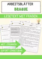 Vorschau - Arbeitsblätter - Braque Arbeitsblätter mit Fragen + Lösungen AB - Deckblatt