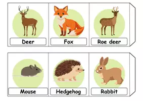 Vorschau - Spiele - Leporello - Forest animals - Englisch - Seite 1