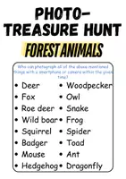 Vorschau - Unterrichtsreihen - Materialpaket - Schreiben und Sprache / Writing and language - Forest animals - Englisch - Seite 2