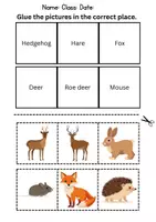 Vorschau - Unterrichtsreihen - Match words & stick on: Forest animals - Englisch (Schneiden und Kleben) - Seite 1