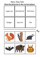 Vorschau - Unterrichtsreihen - Match words & stick on: Forest animals - Englisch (Schneiden und Kleben) - Seite 2