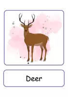 Vorschau - Spiele - XXL Picture-word cards: Forest animals - Englische XXL Bildkarten & Lesekarten - Seite 2
