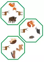 Vorschau - Spiele - Find the twin: Forest animals - Englisch Spiel Game - Seite 2