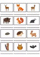 Vorschau - Mal- und Bastelvorlagen - Forest animals: Vocabulary List Wordlist - Englisches Kartenspiel Cardgame, Picturecards - Seite 2