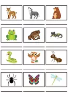Vorschau - Mal- und Bastelvorlagen - Forest animals: Vocabulary List Wordlist - Englisches Kartenspiel Cardgame, Picturecards - Seite 3