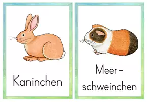 Vorschau - Präsentationen/Tafelbilder - Haustiere: Bildkarten auf Deutsch und Englisch - Seite 3