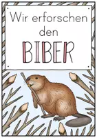 Vorschau - Arbeitsblätter - Forscherheft/ Arbeitsblätter: Der Biber - Seite 3