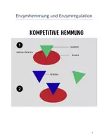 Vorschau - Arbeitsblätter - Enzymhemmung und Enzymregulation - Seite 1