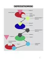 Vorschau - Arbeitsblätter - Enzymhemmung und Enzymregulation - Seite 3