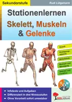 Vorschau - Arbeitsblätter - Stationenlernen Skelette, Muskeln und Gelenke | Dreifach differenziert | Biologie Klasse 5-10 Arbeitsblätter mit Lösungen - Deckblatt