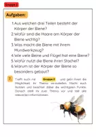 Vorschau - Stationenlernen - Die Biene Gruppenarbeit: Körper, Lebensraum & Honig - Seite 2