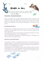 Vorschau - Stundenentwürfe - Plastik im Meer/ Sachtext/ Leseverständnis/ Inhaltsangabe - Deckblatt