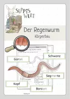 Vorschau - Arbeitsblätter - XXL-Materialpaket Regenwurm. Für Klasse 2, 3 und 4. - Seite 1
