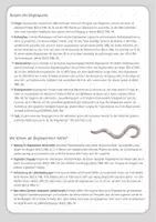 Vorschau - Arbeitsblätter - Bedeutung des Regenwurms. Für Klasse 2, 3 und 4. - Seite 3