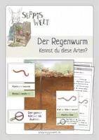 Vorschau - Arbeitsblätter - Der Regenwurm: Kennst du diese Arten? Für Klasse 2, 3 und 4. - Deckblatt