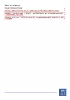 Aperçu - Jeux - Domino | Arithmétique des nombres décimaux positifs et négatifs | Activité Mathématique - Page 2