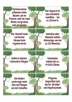 Vorschau - Spiele - TierWissen – 80 faszinierende Fakten aus dem Reich der Tiere - Seite 2