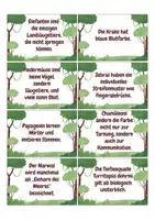 Vorschau - Spiele - TierWissen – 80 faszinierende Fakten aus dem Reich der Tiere - Seite 3
