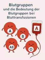 Vorschau - Stundenentwürfe - Die Blutgruppen des AB0-Systems - Deckblatt