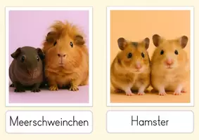 Vorschau - Stundenentwürfe - Haustiere – 3 Unterrichtsstunden mit Material - Seite 3