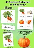 Vorschau - Bildkarten - 40 Gemüse Sprachlernkarten – Bildkarten & Wortkarten für Kindergarten & Vorschule - Seite 1