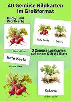 Vorschau - Bildkarten - 40 Gemüse Sprachlernkarten – Bildkarten & Wortkarten für Kindergarten & Vorschule - Seite 2