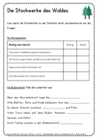 Vorschau - Arbeitsblätter - Stockwerke des Waldes - Arbeitsblätter - Seite 1