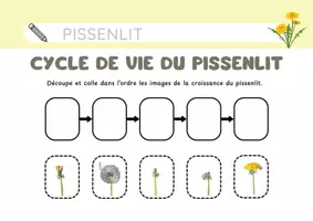 Aperçu - Feuilles d'exercices - livretcycle - Page 2