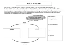 Vorschau - Arbeitsblätter - Notizhilfe Kopplungsreaktion, ATP-System, Reduktionsaequivalente - Seite 2