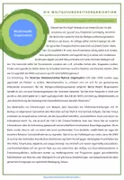 Vorschau - Arbeitsblätter - Die Weltgesundheitsorganisation WHO - Seite 1