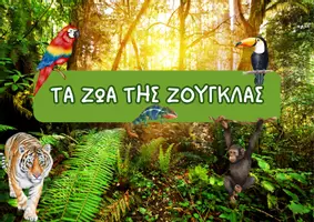 Προεπισκόπηση - Flashcards - Εποπτικό Υλικό : Ζώα Zούγκλας & Σαβάνας και Περιβάλλον - Σελίδα 1