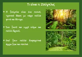 Προεπισκόπηση - Flashcards - Εποπτικό Υλικό : Ζώα Zούγκλας & Σαβάνας και Περιβάλλον - Σελίδα 2