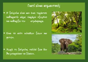 Προεπισκόπηση - Flashcards - Εποπτικό Υλικό : Ζώα Zούγκλας & Σαβάνας και Περιβάλλον - Σελίδα 3